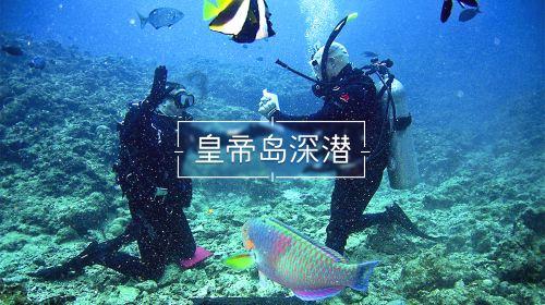 救援花卉销售员