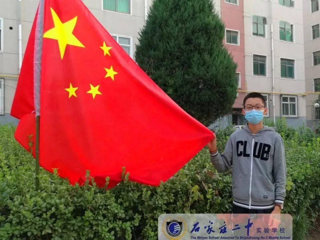 救援狗与猫
